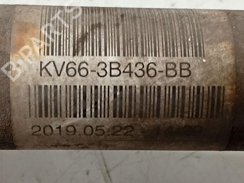 Right front driveshaft FORD TRANSIT CONNECT V408 Box Body/MPV 1.5 EcoBlue | BP32185280M39 - Image 4