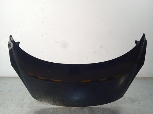Used Hood RENAULT SCÉNIC III (JZ0/1_) 1.9 dCi (JZ0J, JZ1J, JZ1K, JZ1S) (131 hp) 22728999