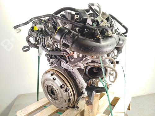 Used Engine FORD KUGA III (DFK) [2019-2026]  29146825