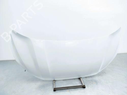 capot-ford-transit-custom-v710-van-nrn-2023-37520926 main image