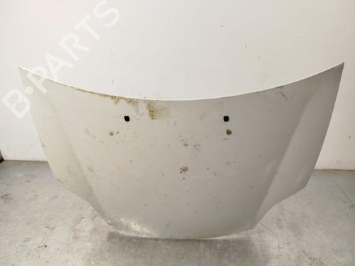 Hood FIAT BRAVO II (198_)  | BP23338480C1