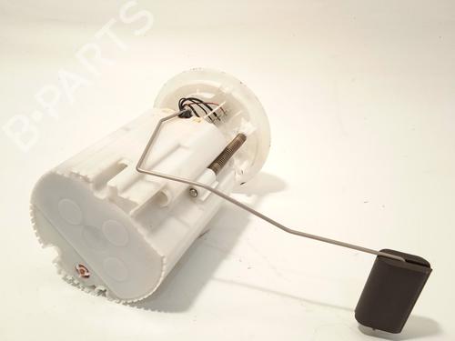 Kraftstoffpumpe RENAULT GRAND SCÉNIC III (JZ0/1_)  | BP25617375M76 