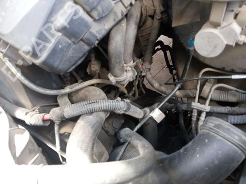 - Image 7