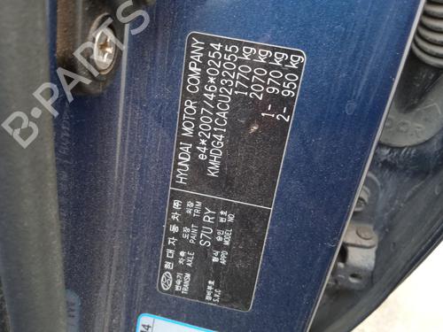 Tailgate HYUNDAI ELANTRA V Saloon (MD, UD)  | BP28316675C6 