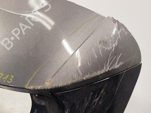 Tailgate FORD KUGA III (DFK) | BP29071919C6