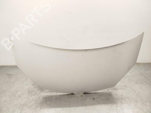 Panser RENAULT KANGOO / GRAND KANGOO II (KW0/1_) 1.5 dCi 90 (KW05, KW08, KW0G, KW11) (90 hp) 31378688