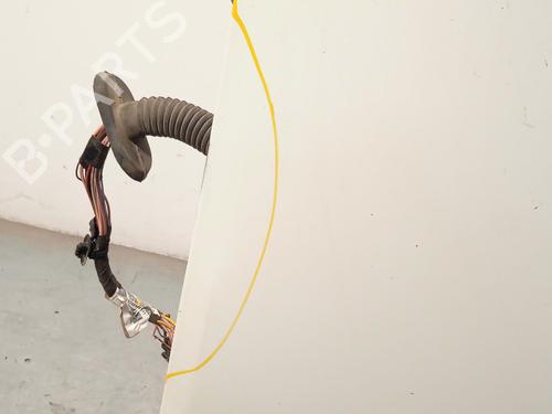 Left front door RENAULT MASTER III Platform/Chassis (EV, HV, UV) 2.3 dCi 125 FWD (EV0C, EV0D, EV0J, HV0C, HV0D, HV0H,... | BP29419030C2 