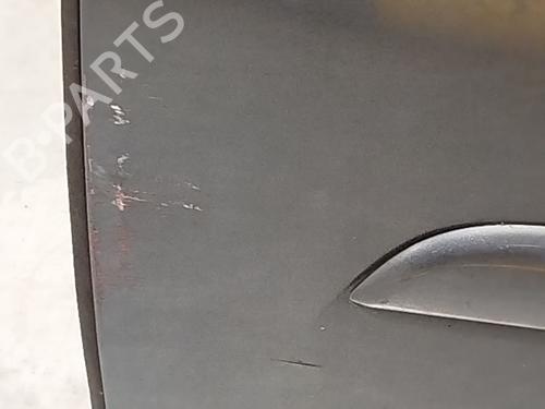 Left front door CITROËN C4 Picasso I MPV (UD_) 2.0 HDi 138 | BP31020488C2 