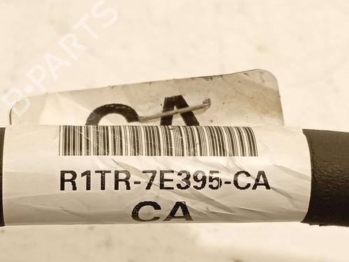 Cable FORD PUMA (J2K, CF7) 1.0 EcoBoost | BP38325072E12 - Image 4