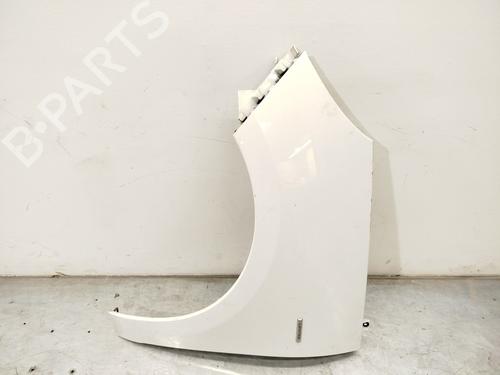 Used Left front fenders RENAULT SCÉNIC III (JZ0/1_) 1.2 TCe (116 hp) 30537843