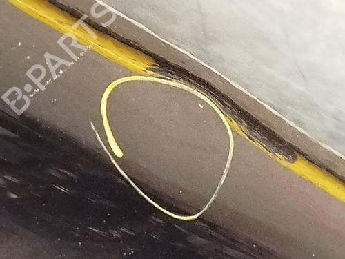 Left rear door RENAULT ARKANA I (LCM_, LDN_) 1.3 TCe 140 (LDN0) | BP25489100C4 