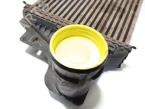 Intercooler MERCEDES-BENZ M-CLASS (W164)  | BP16150718M30 