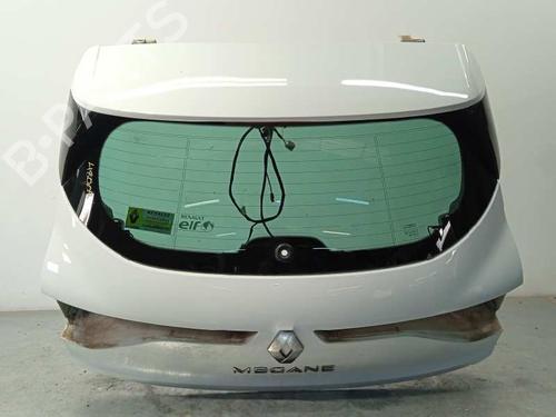 Used Tailgate Tailgate 9973831 9973831