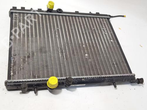 Water radiator CITROËN C4 II (NC_) 1.6 HDi 90 | BP25719373M31 