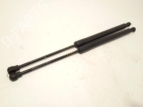 Tailgate lift support RENAULT CLIO IV (BH_) 0.9 TCe 90 (BHNF, BHMA, BHMH, BHJK, BHJR) | BP29173192C138 