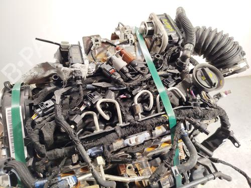 Engine SEAT LEON (KL1, KLG) 2.0 TDI | BP29709165M1 