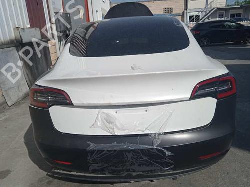 Hinge/Door check strap TESLA MODEL 3 (5YJ3) EV AWD | BP19304976C146 