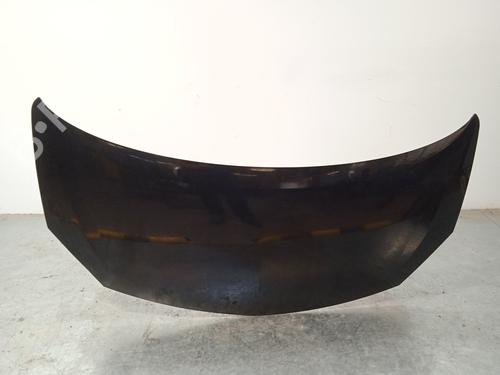 hood-renault-twingo-ii-cn0_-2007-28183833 main image