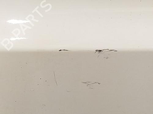 Right rear door BMW X3 (E83) 2.0 d | BP26411573C5 
