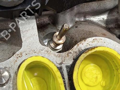 Engine BMW X5 (G05, F95)  | BP13056481M1 