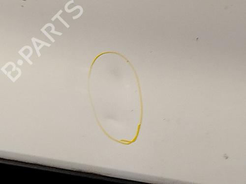 Right front door CITROËN NEMO MPV 1.3 HDi 75 | BP23270557C3