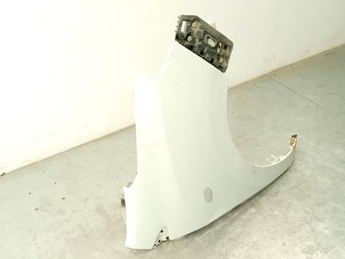Right front fenders DACIA DOKKER MPV (KE_) 1.5 dCi (KEAJ, KEAH) | BP29332154C42 