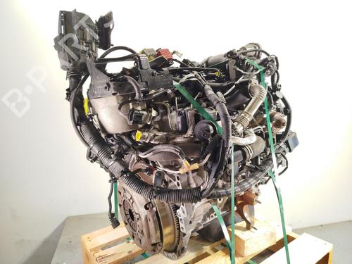 Motor FORD FIESTA VI (CB1, CCN) [2008-2017]  28112991