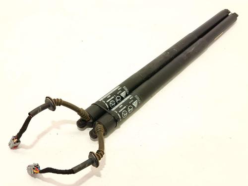 Used Tailgate lift support Tailgate lift support FORD PUMA (J2K, CF7) 1.0 EcoBoost mHEV (125 hp) 39815101 39815101