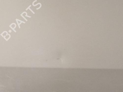 Right rear door RENAULT KANGOO Express (FW0/1_) 1.5 dCi 75 (FW07, FW10, FW04) | BP29147959C5 