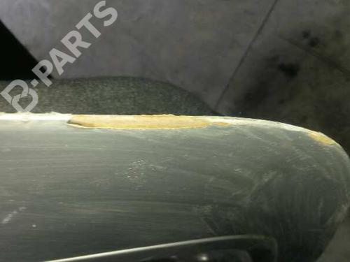 Tailgate MERCEDES-BENZ S-CLASS (W220) S 500 (220.075, 220.175, 220.875) | BP3686829C6 