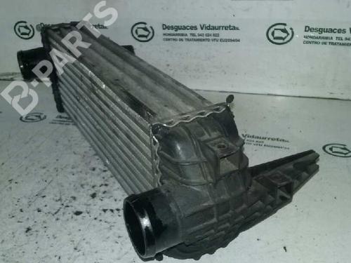 Intercooler FORD TOURNEO CONNECT 1.8 TDCi | BP3508317M30 