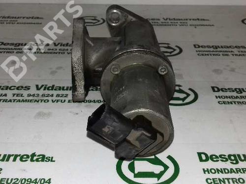 Egr HYUNDAI SANTA FÉ II (CM)  | BP2331080M69 