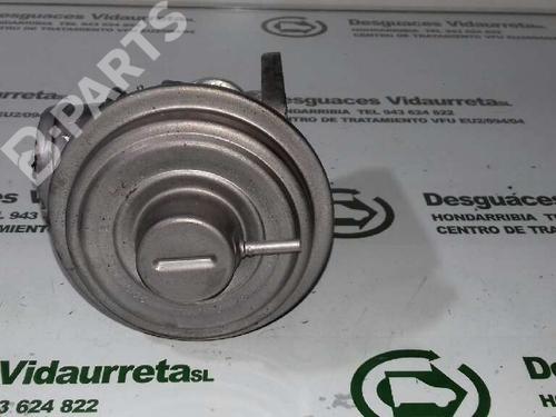 Egr BMW 3 (E46) 320 d | BP1315691M69 
