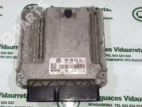 Used Engine control unit (ECU) SEAT LEON (1P1) 1.9 TDI (105 hp) 1319891