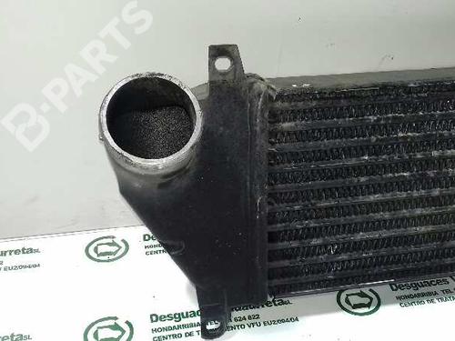Intercooler MERCEDES-BENZ M-CLASS (W163) ML 400 CDI (163.128) | BP1303948M30 