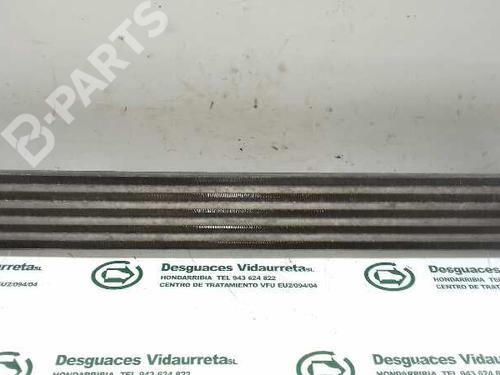 Oliekøler VW TOUAREG (7LA, 7L6, 7L7) 2.5 R5 TDI | BP8728705M33 