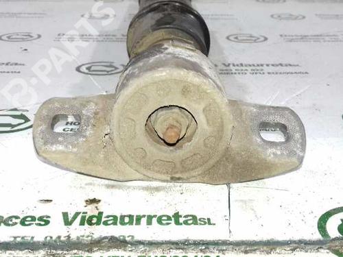 Right rear shock absorber CITROËN C4 II (NC_)  | BP1730113M19 