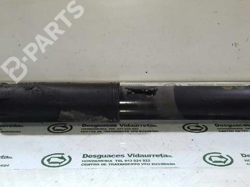 Venstre bak støtdemper CHEVROLET CAPTIVA (C100, C140) [2006-2025]  2270272
