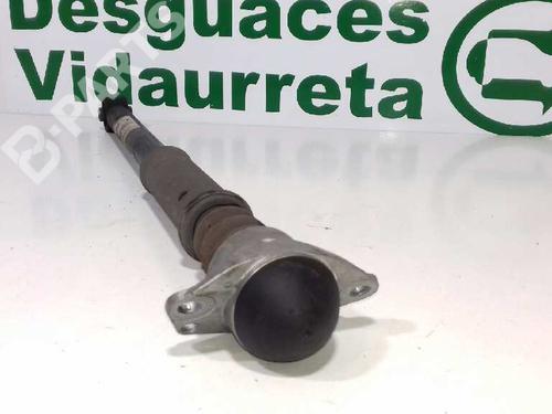 Right rear shock absorber VW POLO V (6R1, 6C1) 1.2 | BP2534286M19 