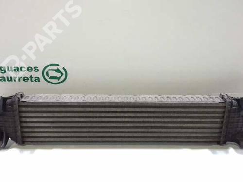 Intercooler FORD FOCUS II (DA_, HCP, DP)  | BP2993046M30 