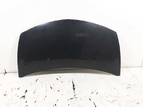 Hood RENAULT CLIO III (BR0/1, CR0/1) 1.2 16V (BR02, BR0J, BR11, CR02, CR0J, CR11) | BP1972200C1 
