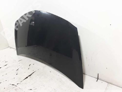 Hood RENAULT CLIO III (BR0/1, CR0/1) 1.2 16V (BR02, BR0J, BR11, CR02, CR0J, CR11) BP1972200C1