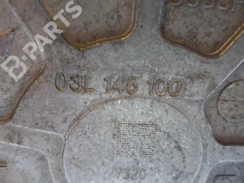 Used Vacuum pump VW TIGUAN (5N_) 2.0 TDI (140 hp) 4080105