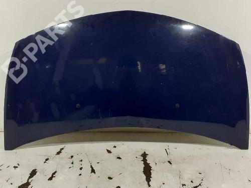 Hood RENAULT CLIO III (BR0/1, CR0/1) 1.5 dCi (C/BR0G, C/BR1G) | BP4394227C1 