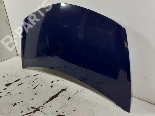 Used Hood RENAULT CLIO III (BR0/1, CR0/1) 1.5 dCi (C/BR0G, C/BR1G) (68 hp) 4394227