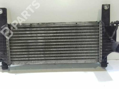 Intercooler NISSAN PATHFINDER III (R51) 2.5 dCi 4WD | BP4570091M30 