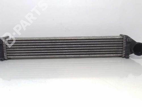 Used Intercooler MERCEDES-BENZ A-CLASS (W169) [2004-2012]  4625795