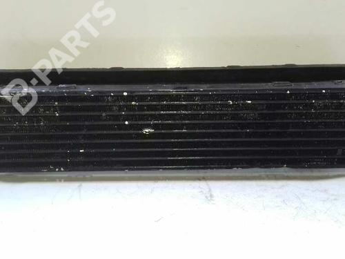 Used Intercooler LAND ROVER RANGE ROVER SPORT I (L320) 2.7 D 4x4 (190 hp) 4937066