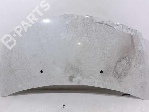 Hood RENAULT CLIO III (BR0/1, CR0/1) 1.5 dCi (BR17, CR17) | BP2699784C1 