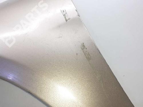 Left front fenders MERCEDES-BENZ R-CLASS (W251, V251)  | BP5942620C41 